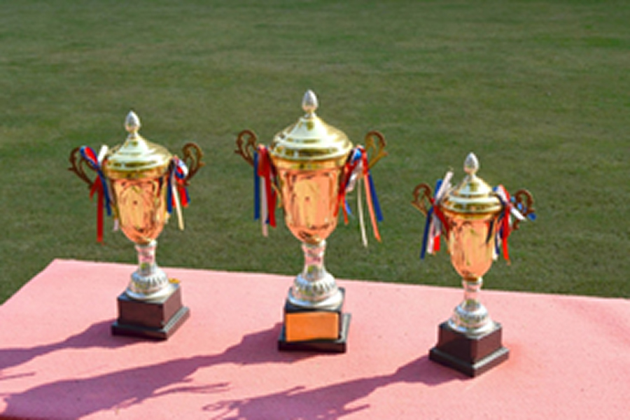 宝安暝园荣誉一